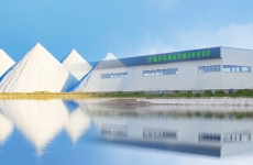 20萬噸/年丨蘇德環保變“廢”為“寶”，破解工業廢鹽資源化難題